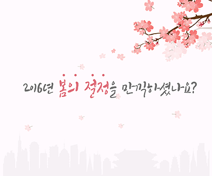 [KCTI-INFO 제13호]2016년 봄의 절정을 만끽하셨나요?