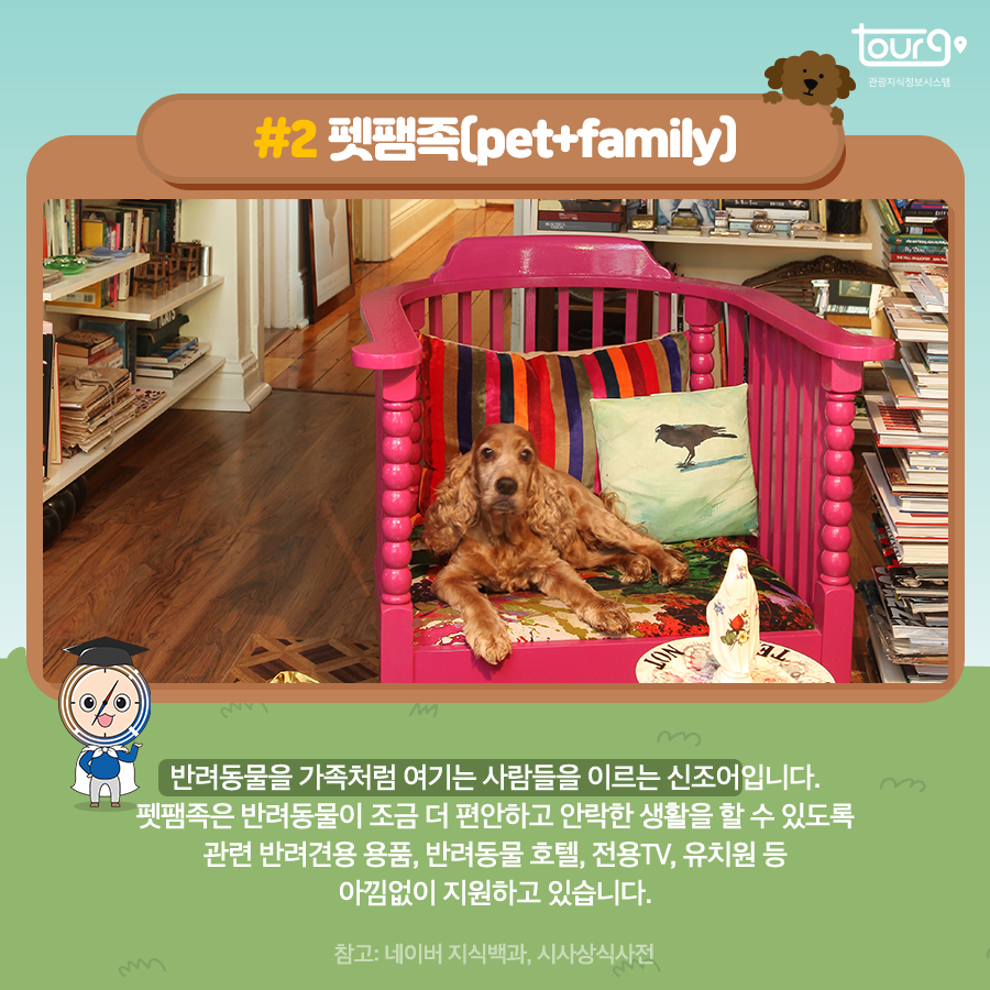 카드뉴스이미지