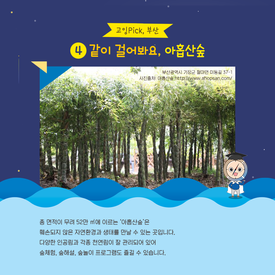 카드뉴스이미지