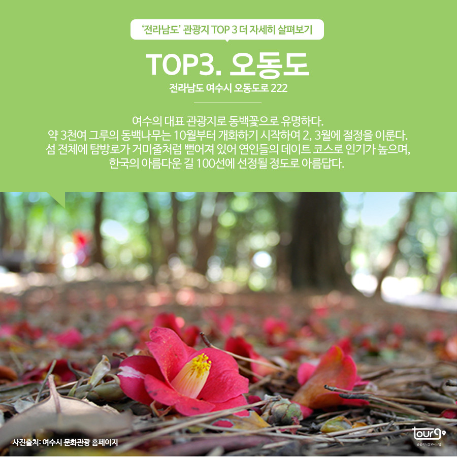 카드뉴스이미지