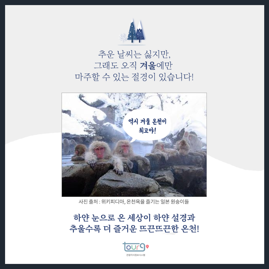 카드뉴스이미지