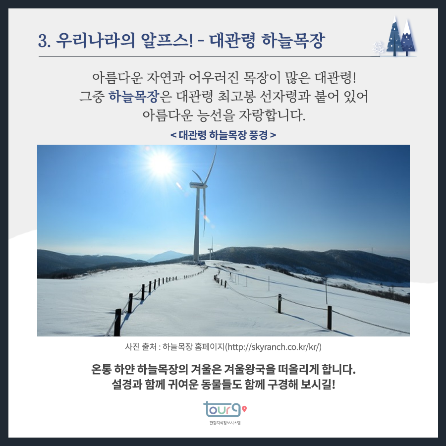 카드뉴스이미지