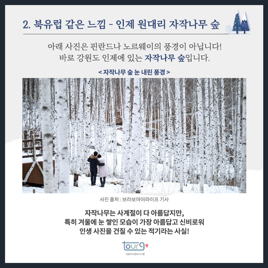 카드뉴스이미지