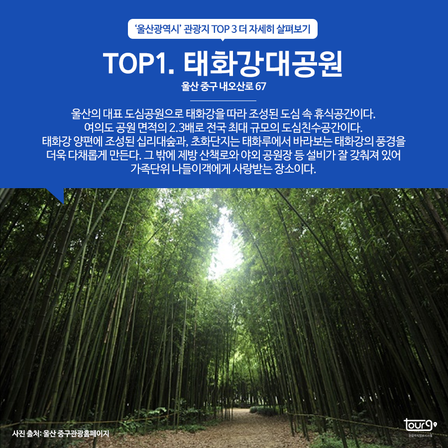 카드뉴스이미지