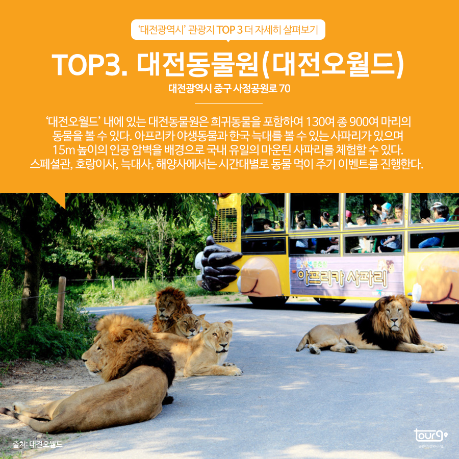 카드뉴스이미지