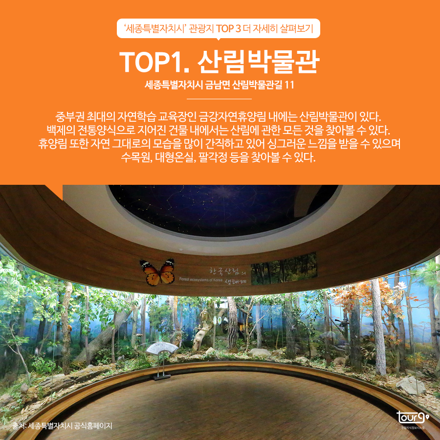 카드뉴스이미지