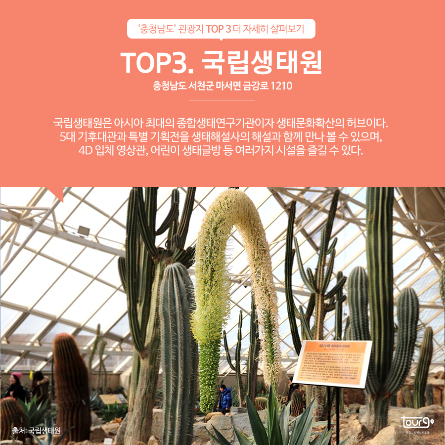 카드뉴스이미지