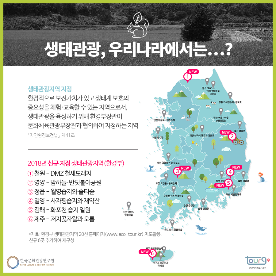 카드뉴스이미지