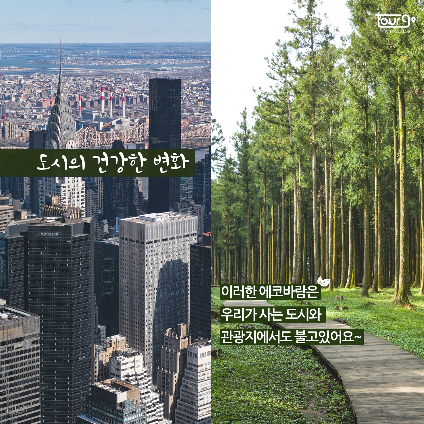 카드뉴스이미지