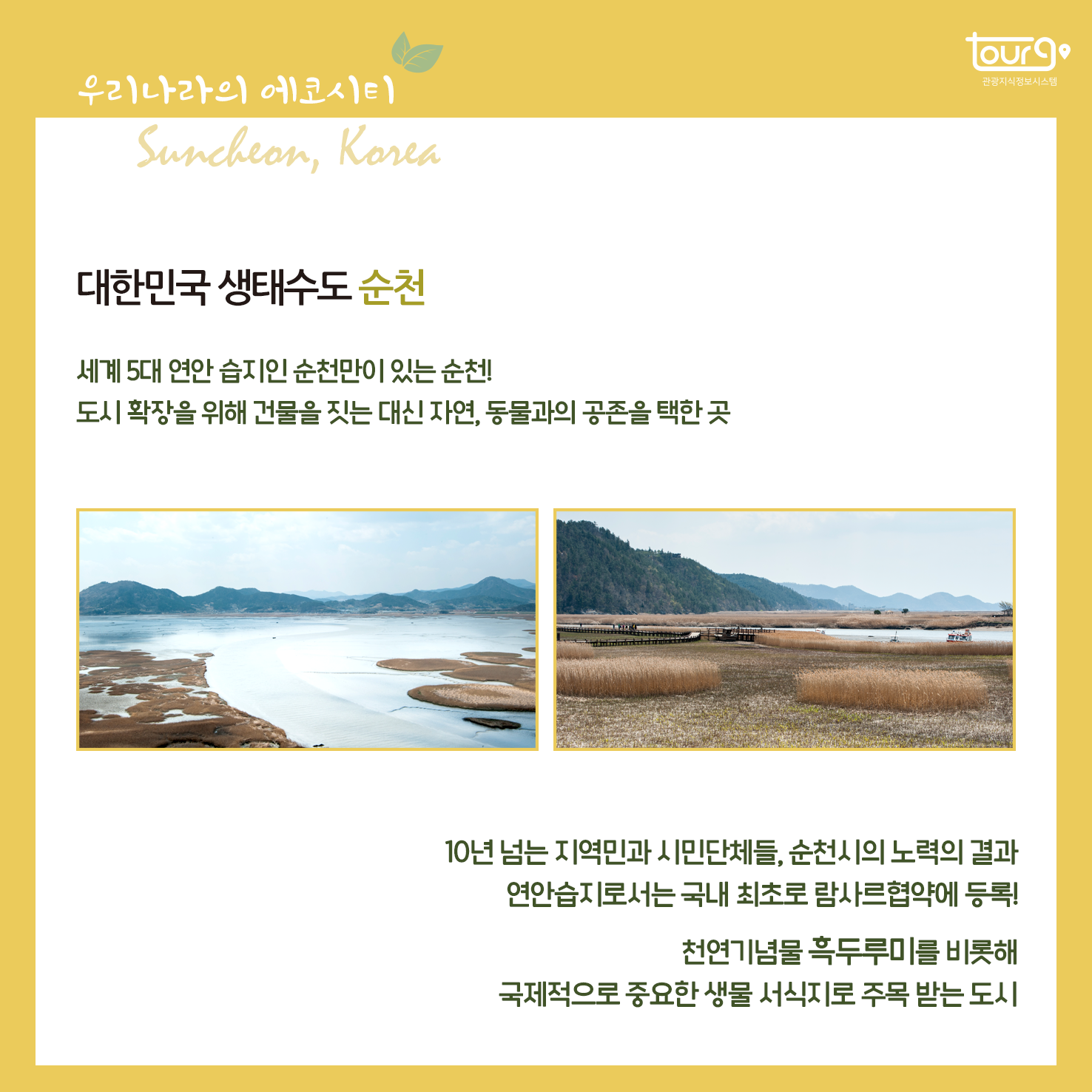 카드뉴스이미지