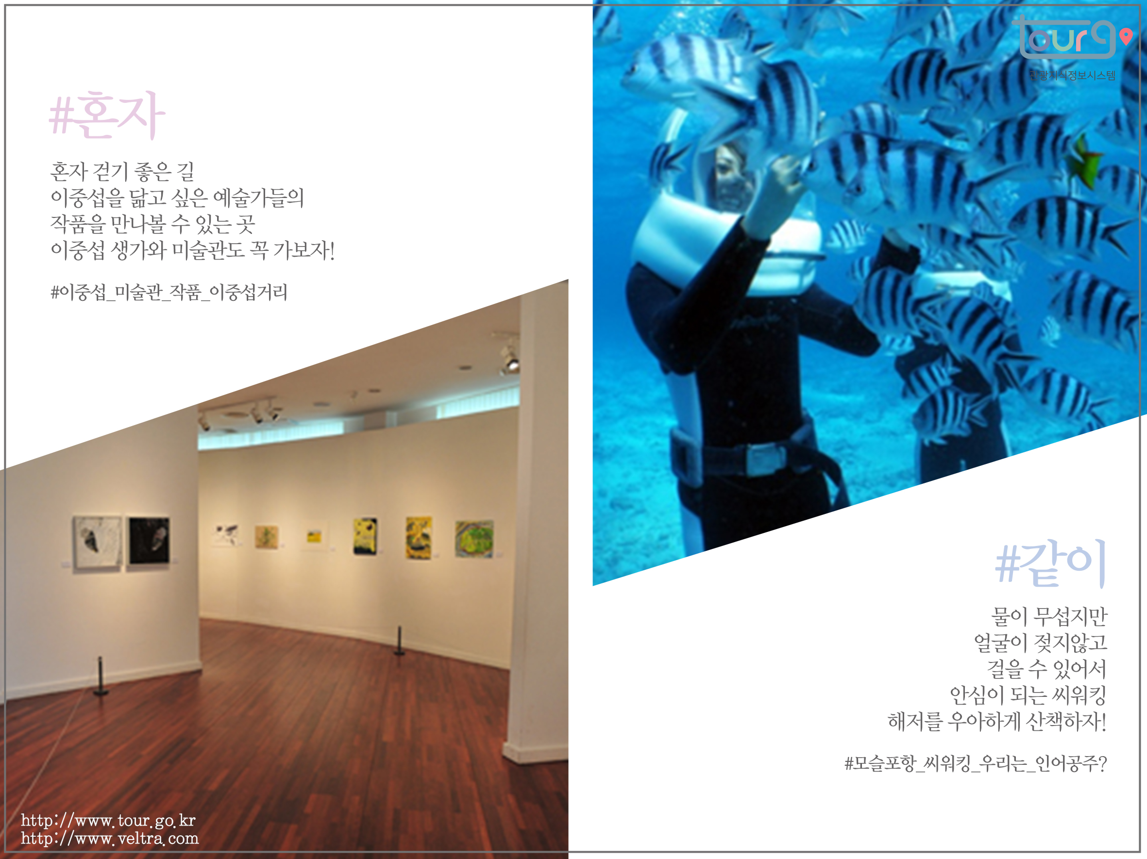 카드뉴스이미지