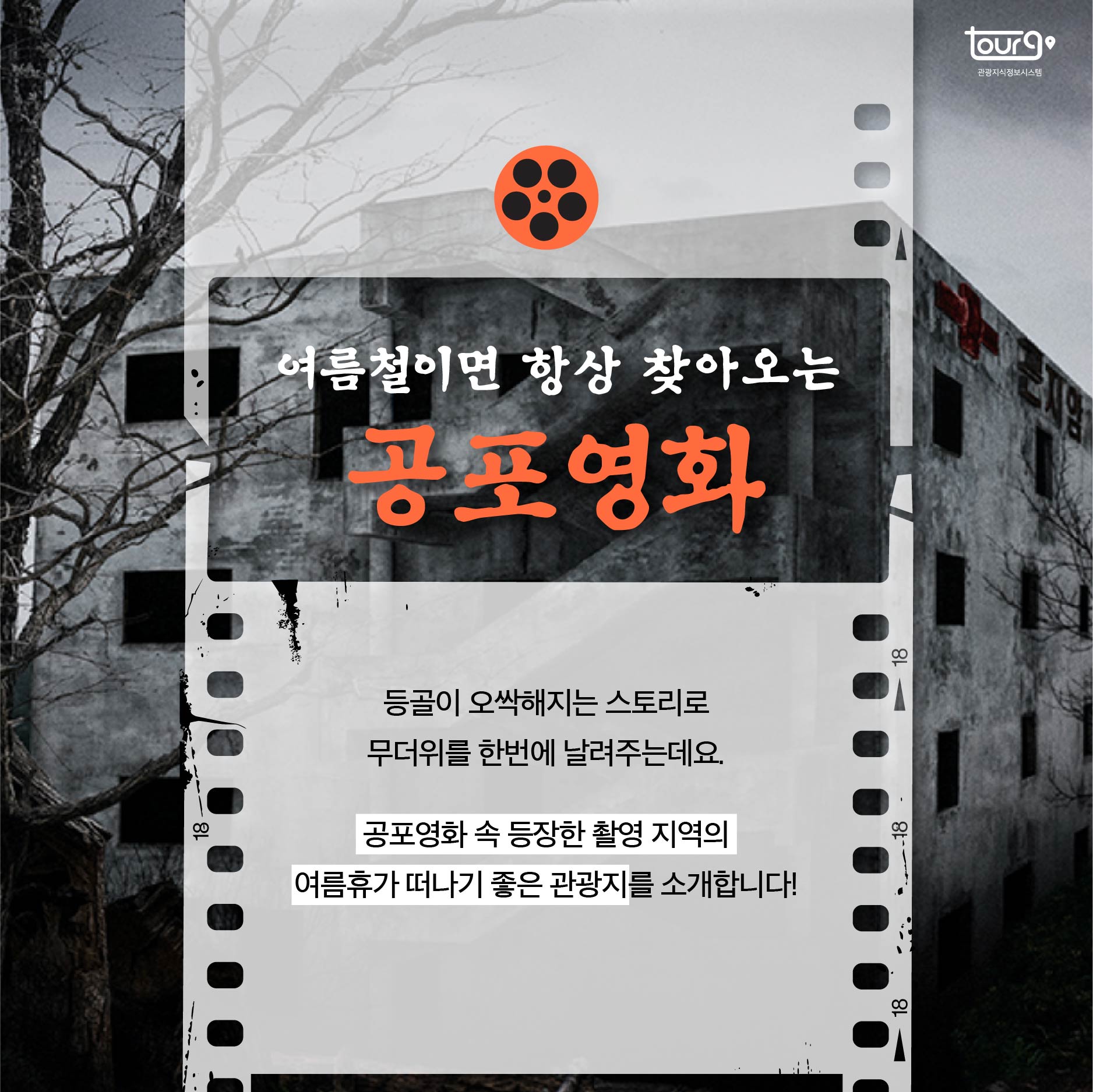 카드뉴스이미지