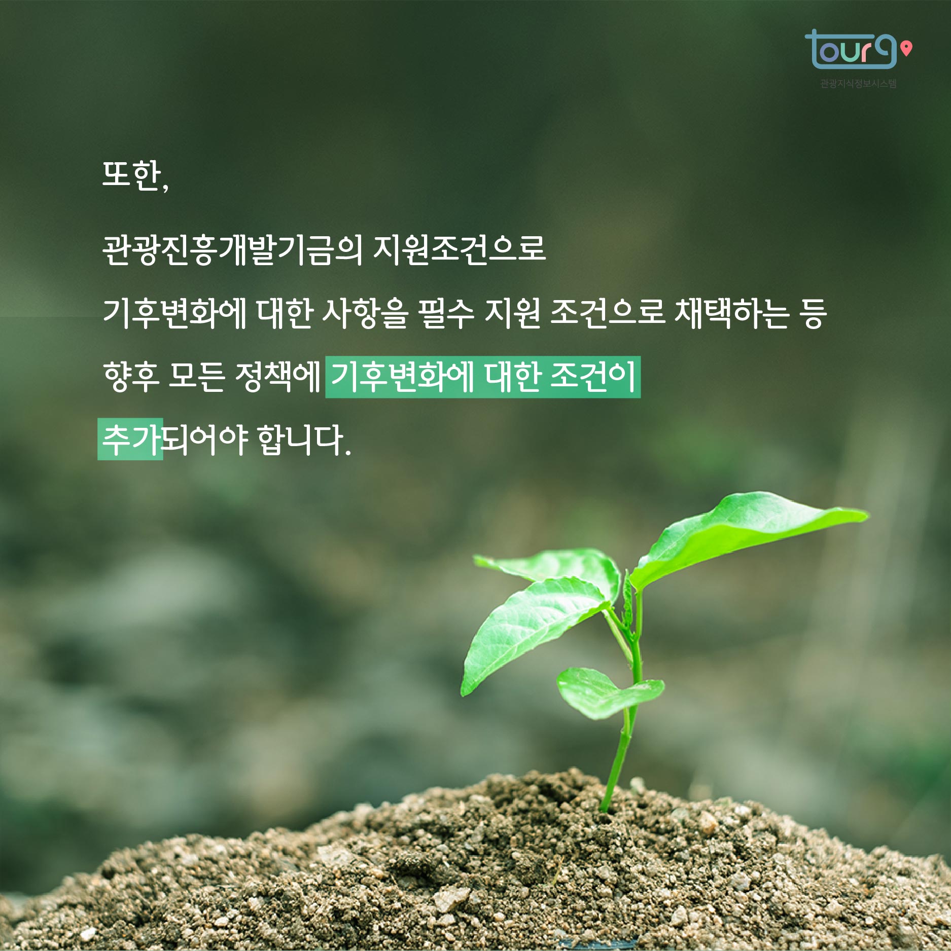 카드뉴스이미지