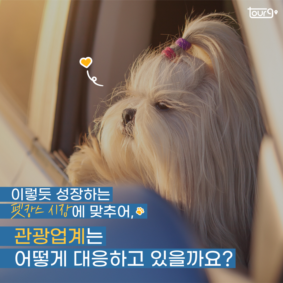 카드뉴스이미지