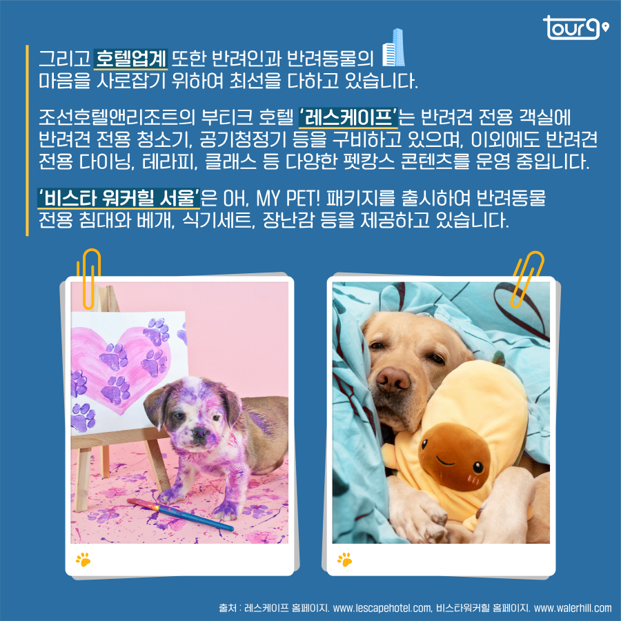 카드뉴스이미지