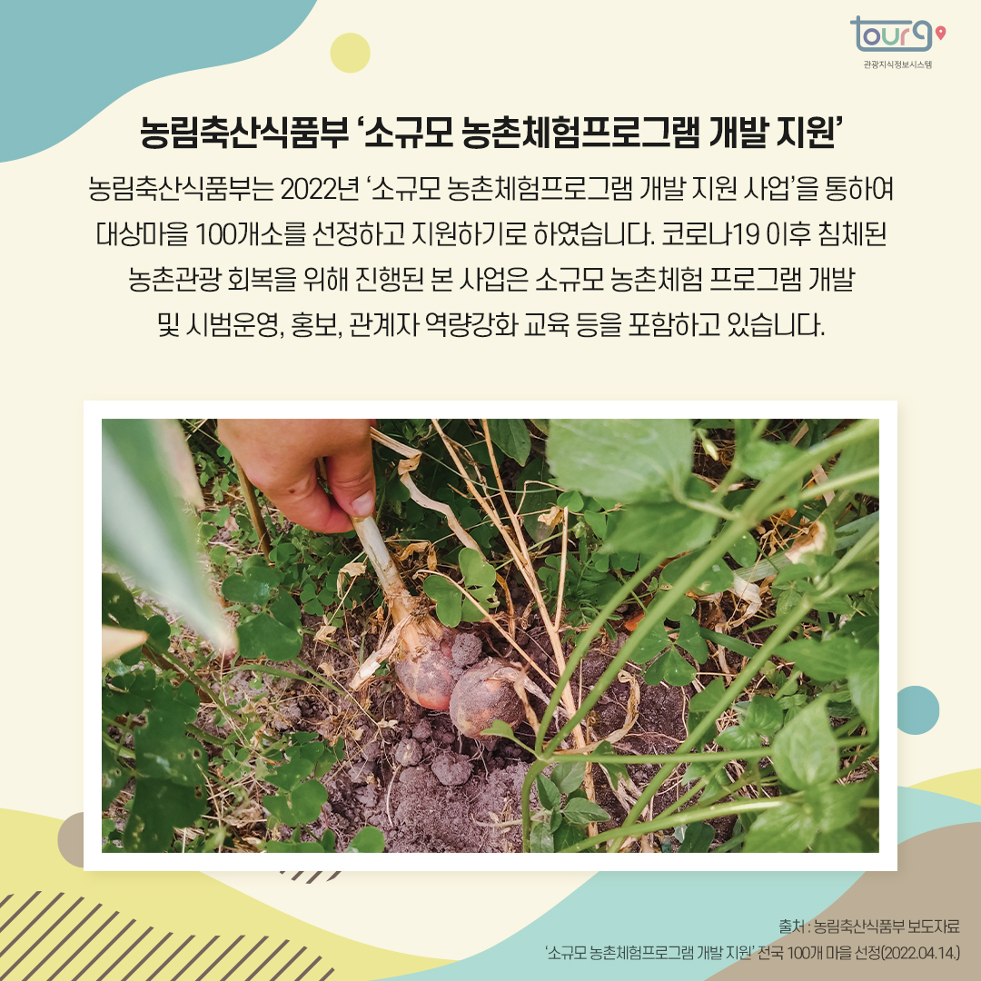 카드뉴스이미지