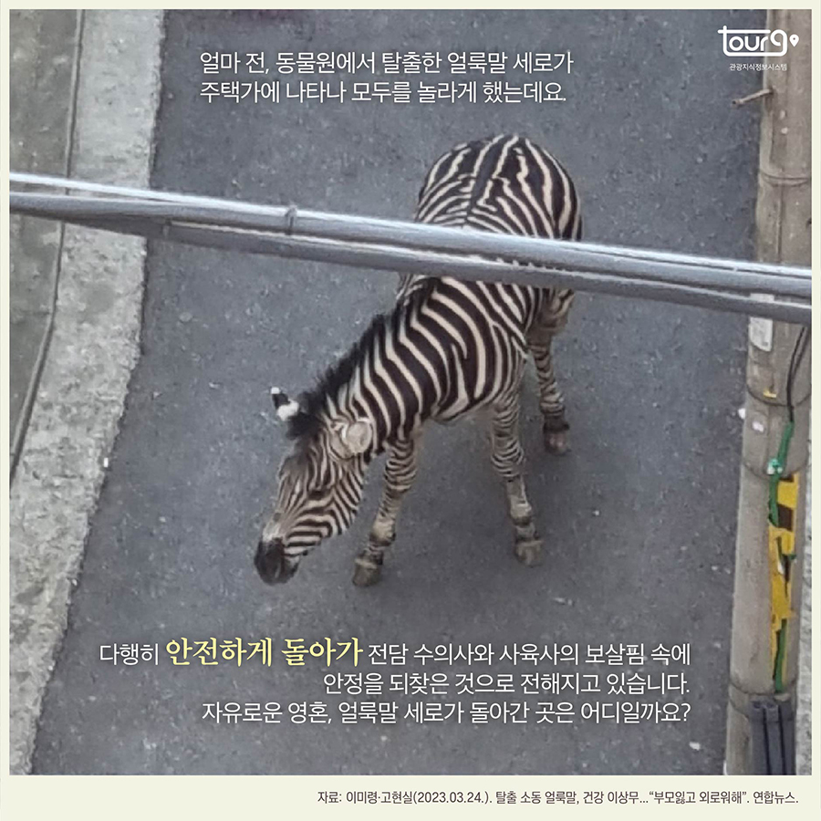 카드뉴스이미지