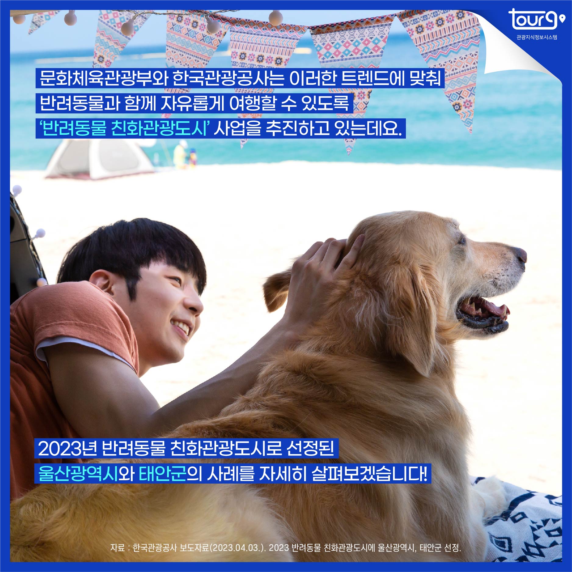 카드뉴스이미지