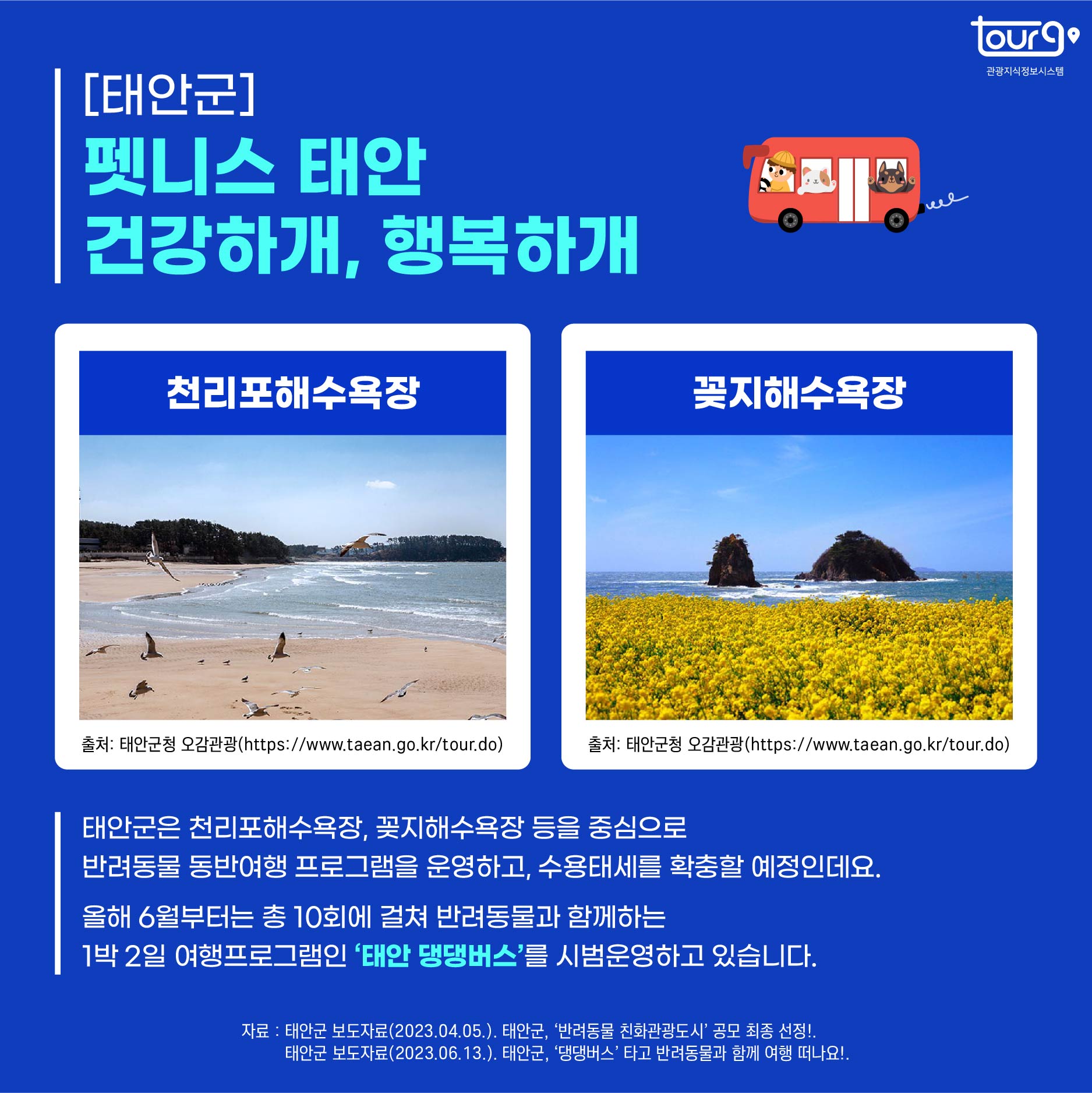 카드뉴스이미지