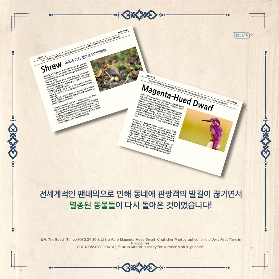 카드뉴스이미지