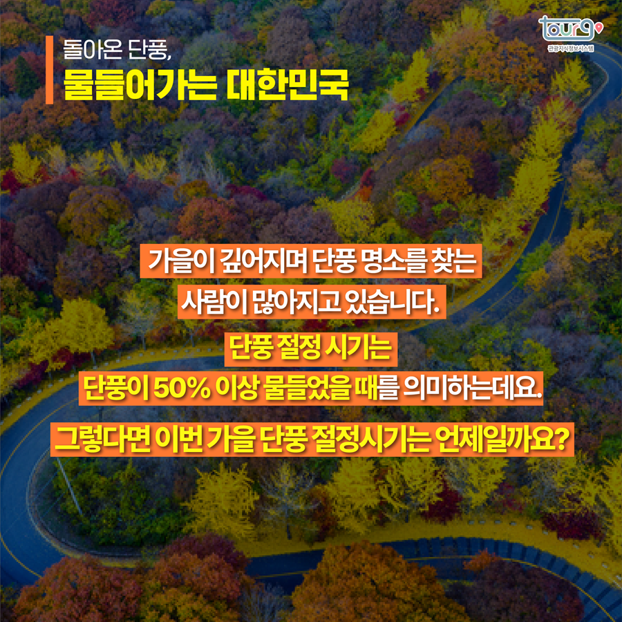 카드뉴스이미지