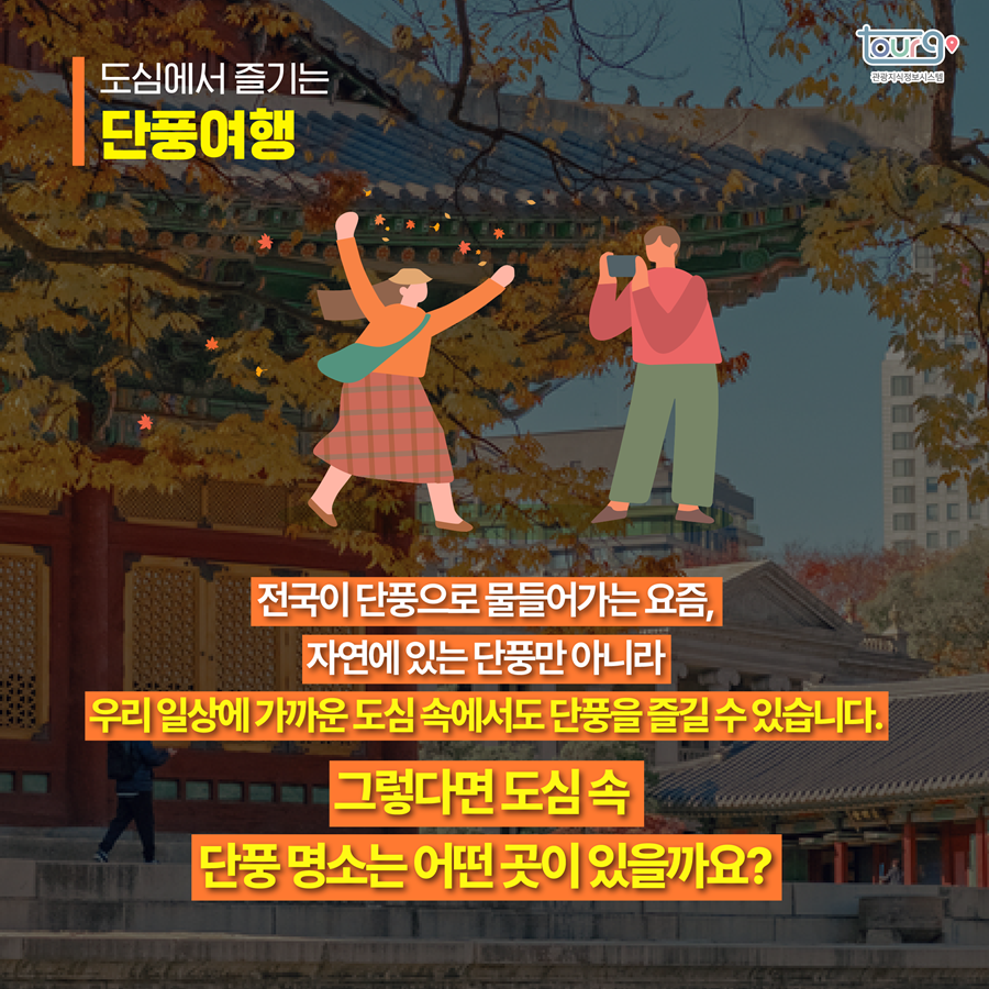 카드뉴스이미지