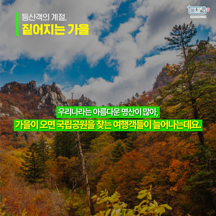 카드뉴스이미지