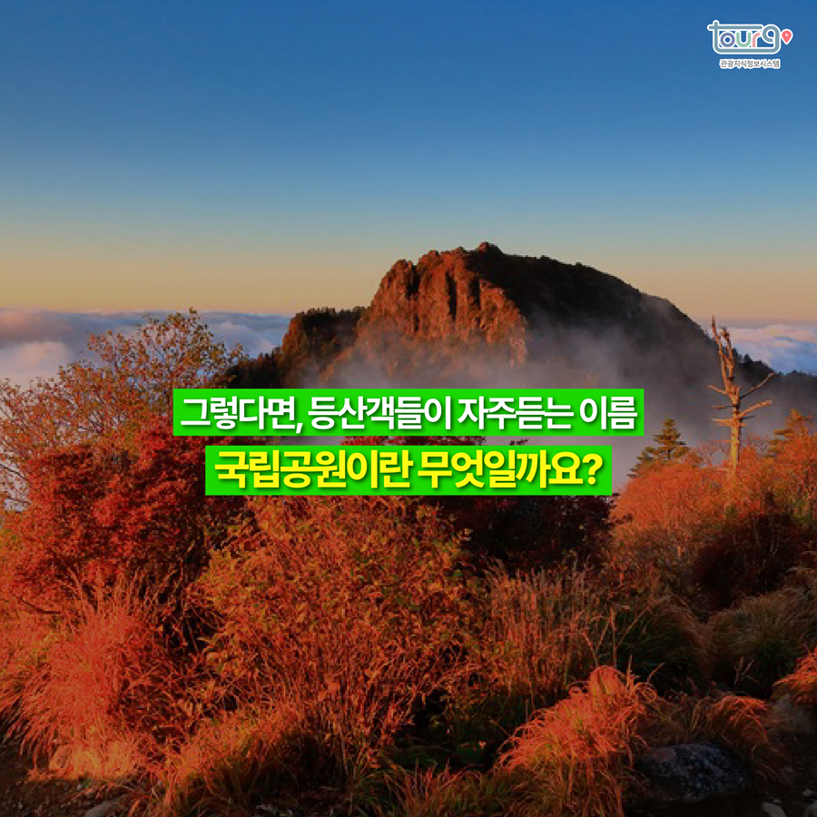 카드뉴스이미지